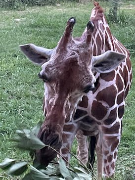 到津の森公園に投稿された画像（2023/8/15）