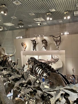 国立科学博物館に投稿された画像（2023/8/15）