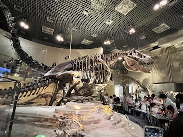 国立科学博物館に投稿された画像（2023/8/15）