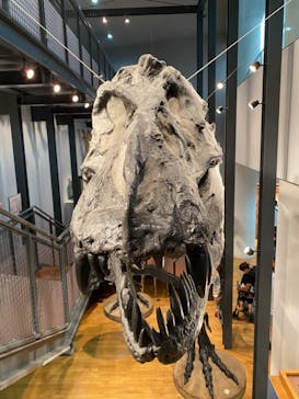 福井県立恐竜博物館に投稿された画像（2023/8/15）