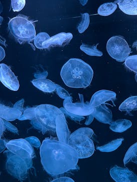 AOAO SAPPOROに投稿された画像（2023/8/15）