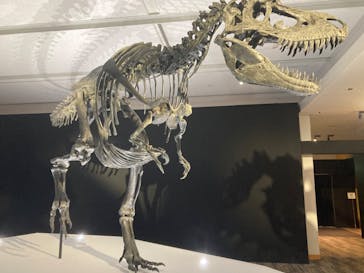 DinoScience 恐竜科学博 2023@TOKYO MIDTOWNに投稿された画像（2023/8/15）