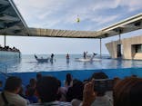 上越市立水族博物館 うみがたりに投稿された画像（2023/8/15）