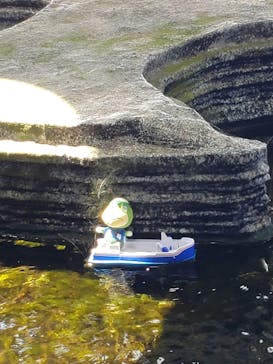 上越市立水族博物館 うみがたりに投稿された画像（2023/8/15）