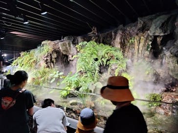 京都鉄道博物館×京都水族館に投稿された画像（2023/8/15）