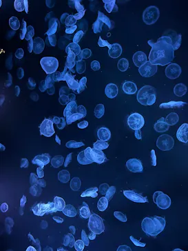 すみだ水族館に投稿された画像（2023/8/15）