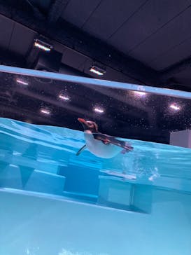 AOAO SAPPOROに投稿された画像（2023/8/15）