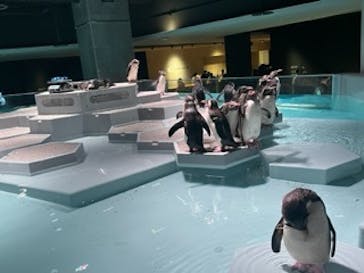 AOAO SAPPOROに投稿された画像（2023/8/15）