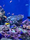 仙台うみの杜水族館に投稿された画像（2023/8/16）