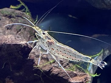 サンシャイン水族館に投稿された画像（2023/8/15）