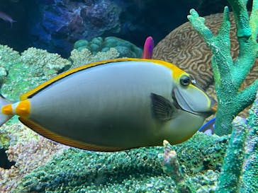 サンシャイン水族館に投稿された画像（2023/8/15）