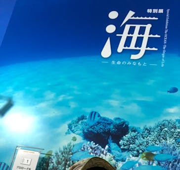 特別展「海　―生命のみなもと―」（国立科学博物館）に投稿された画像（2023/8/15）