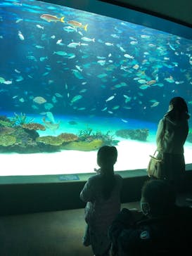 サンシャイン水族館に投稿された画像（2023/8/16）