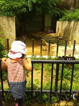 伊豆アニマルキングダムに投稿された画像（2023/8/16）