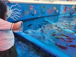 越前松島水族館に投稿された画像（2023/8/16）