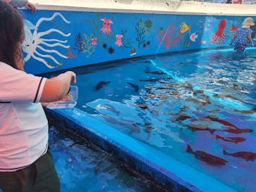 越前松島水族館に投稿された画像（2023/8/16）