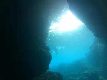 武藤潜水に投稿された画像（2023/8/16）