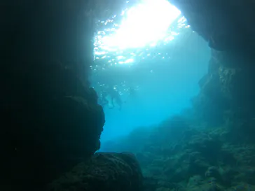 武藤潜水に投稿された画像（2023/8/16）