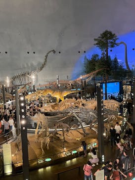 福井県立恐竜博物館に投稿された画像（2023/8/16）