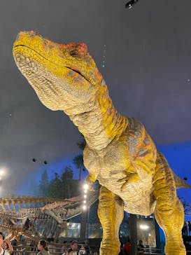 福井県立恐竜博物館に投稿された画像（2023/8/16）