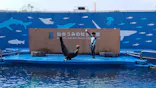 仙台うみの杜水族館に投稿された画像（2023/8/16）