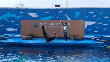 仙台うみの杜水族館に投稿された画像（2023/8/16）
