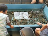 すさみ町立エビとカニの水族館に投稿された画像（2023/8/16）