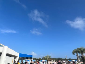 蓮沼ウォーターガーデンに投稿された画像（2023/8/16）