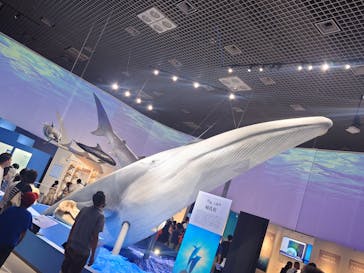 特別展「海　―生命のみなもと―」（国立科学博物館）に投稿された画像（2023/8/16）