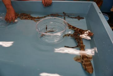 しながわ水族館に投稿された画像（2023/8/16）