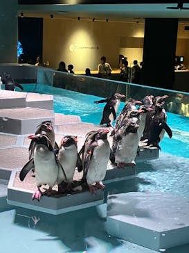 AOAO SAPPOROに投稿された画像（2023/8/16）