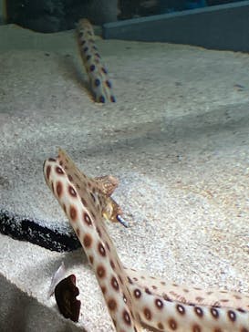 AOAO SAPPOROに投稿された画像（2023/8/16）