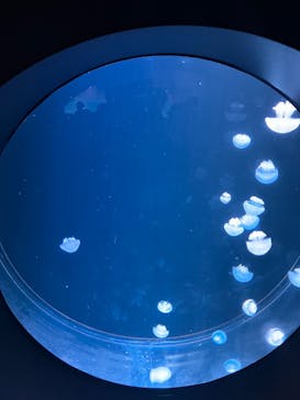 AOAO SAPPOROに投稿された画像（2023/8/16）