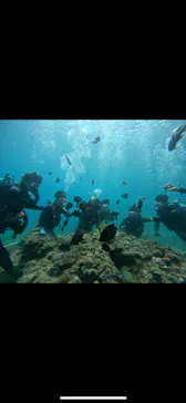 武藤潜水に投稿された画像（2023/8/16）