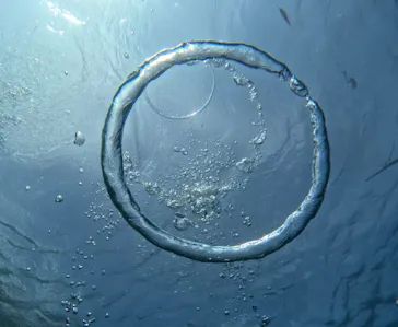 武藤潜水に投稿された画像（2023/8/16）