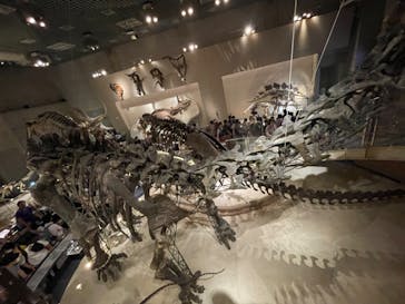 国立科学博物館に投稿された画像（2023/8/16）