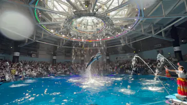 マクセル アクアパーク品川に投稿された画像（2023/8/16）