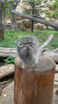 那須どうぶつ王国に投稿された画像（2023/8/16）