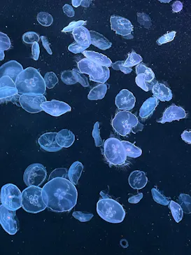 すみだ水族館に投稿された画像（2023/8/16）