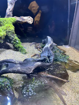 すみだ水族館に投稿された画像（2023/8/16）