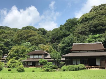 三溪園に投稿された画像（2023/8/16）