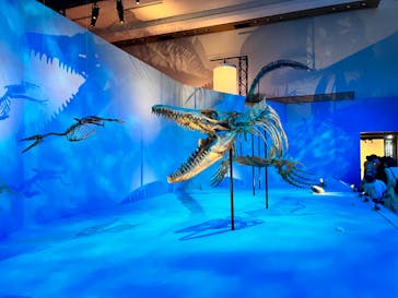 DinoScience 恐竜科学博 2023@TOKYO MIDTOWNに投稿された画像（2023/8/16）