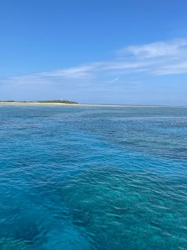 M.a.r.i.n.e Factoryに投稿された画像（2023/8/16）