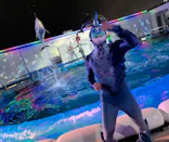 仙台うみの杜水族館に投稿された画像（2023/8/15）