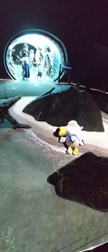 上越市立水族博物館 うみがたりに投稿された画像（2023/8/16）