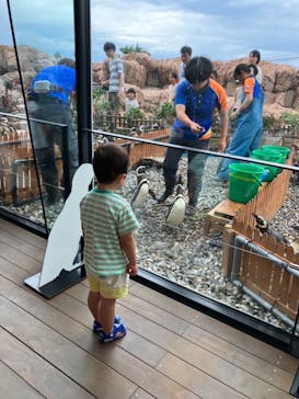 上越市立水族博物館 うみがたりに投稿された画像（2023/8/16）
