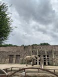 東武動物公園に投稿された画像（2023/8/16）