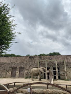 東武動物公園に投稿された画像（2023/8/16）