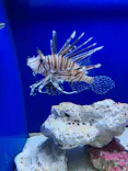 サンシャイン水族館に投稿された画像（2023/8/16）