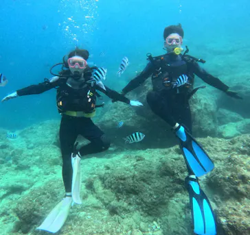 武藤潜水に投稿された画像（2023/8/16）